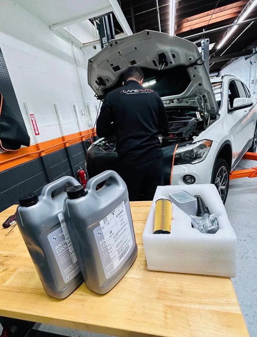 Maintenance fluids and service parts prepared beside a Lane Auto technician